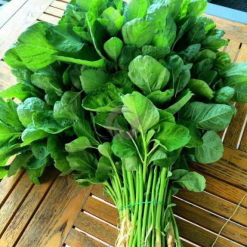 5000 butir benih bayam hijau