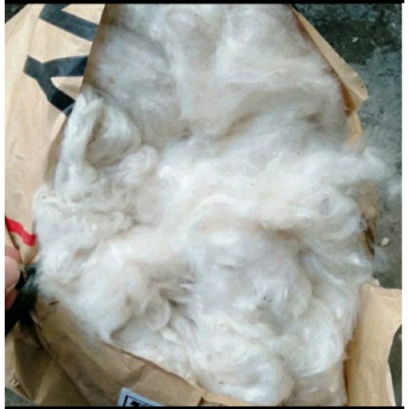 kapuk randu asli 100 % bersih tanpa biji klenteng isi 2kg/kapuk 2kg kwalitas no 1/kapuk isian bantal