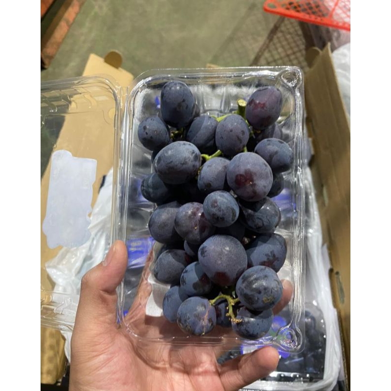 

ANGGUR AUTUM MANIS NON BIJI PACK 500GRAM