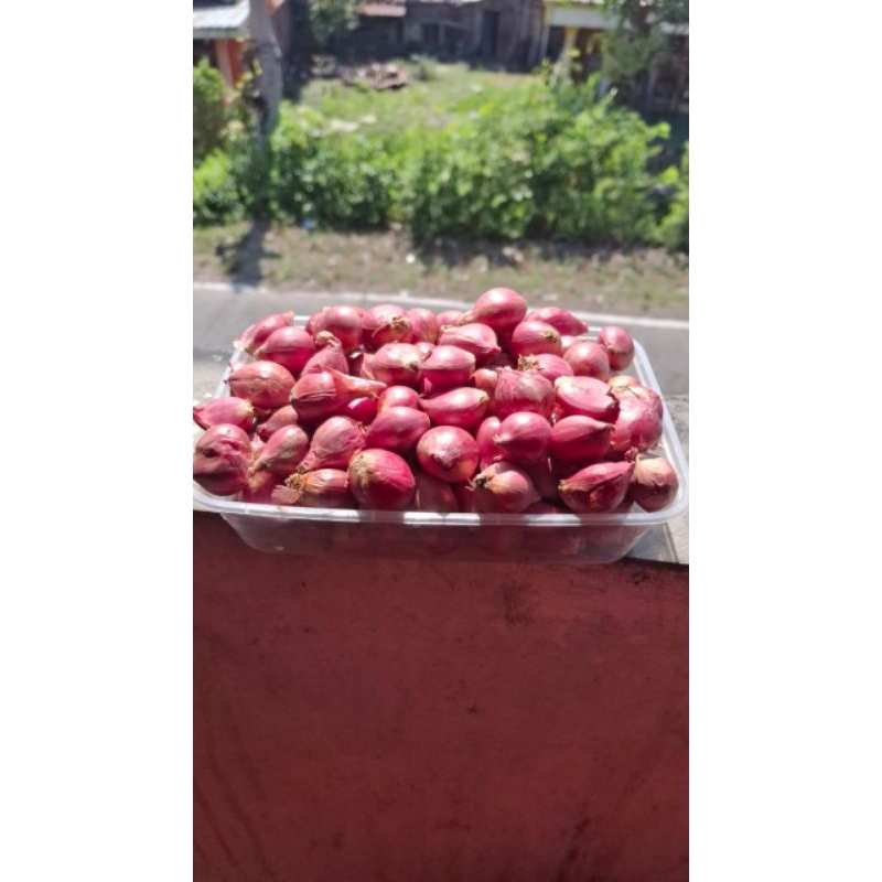 

Bawang Merah Tanggung Kecil 1 kg