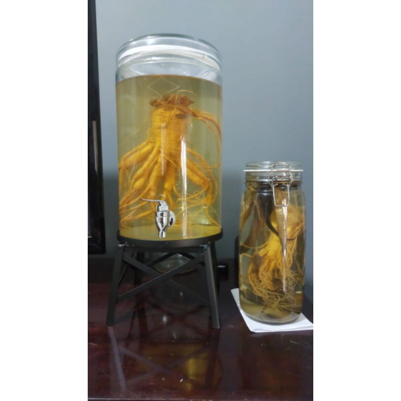 

Rendaman Ginseng Korea 600mL