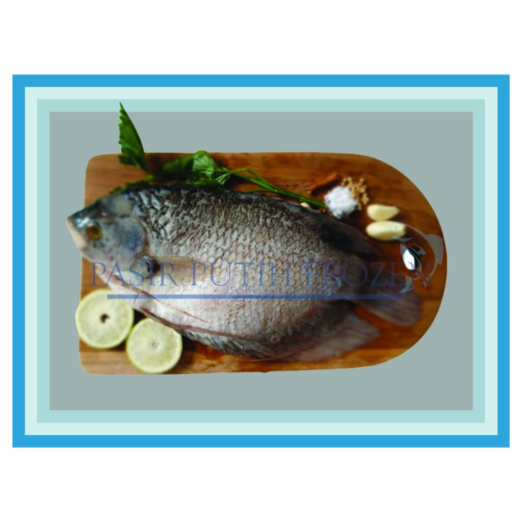 

Ikan Gurame WGGS Frozen 450 - 950gr