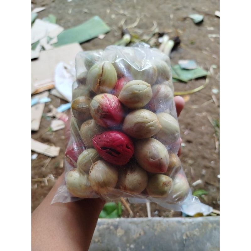 

Biji buah pala basah segar 500gram