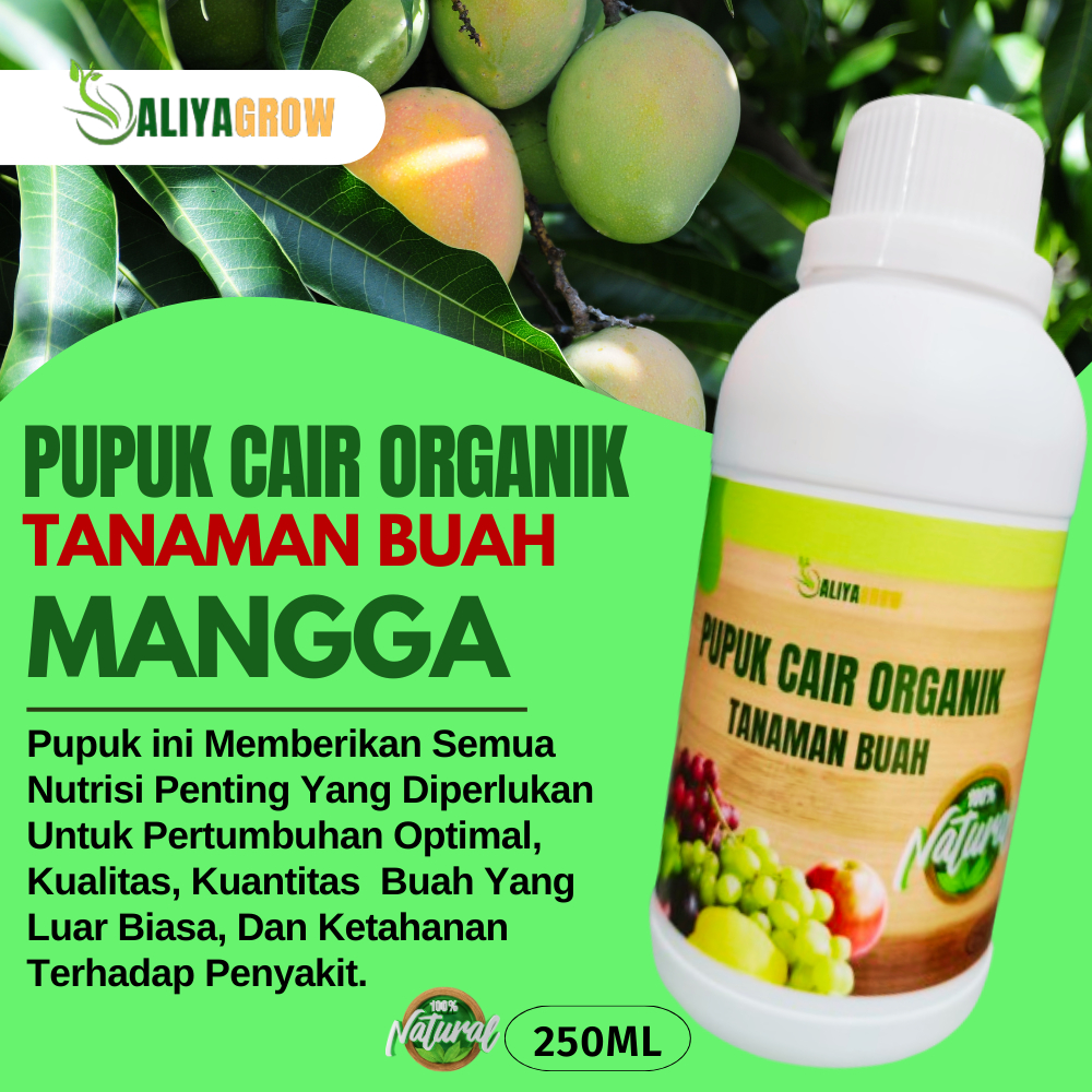 pupuk buah mangga/pupuk buah mangga agar cepat berbuah/pupuk buah mangga lebat/pupuk cair untuk buah