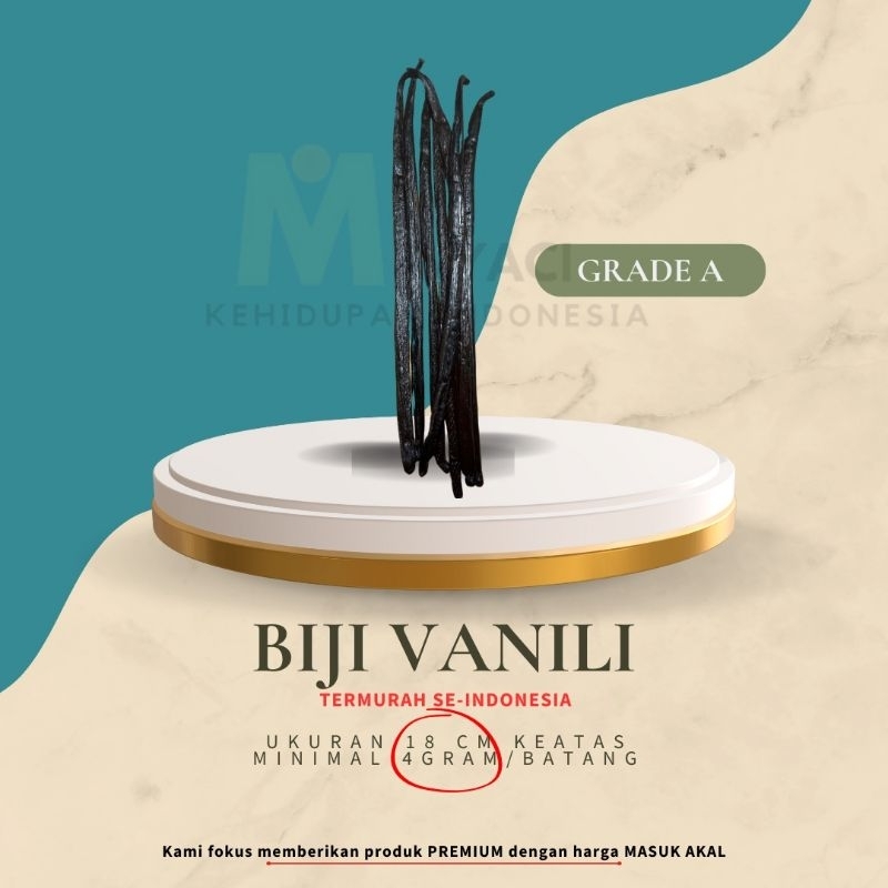 

Biji Vanili Planifolia, Grade A Ukuran 18 cm 1vot/batang