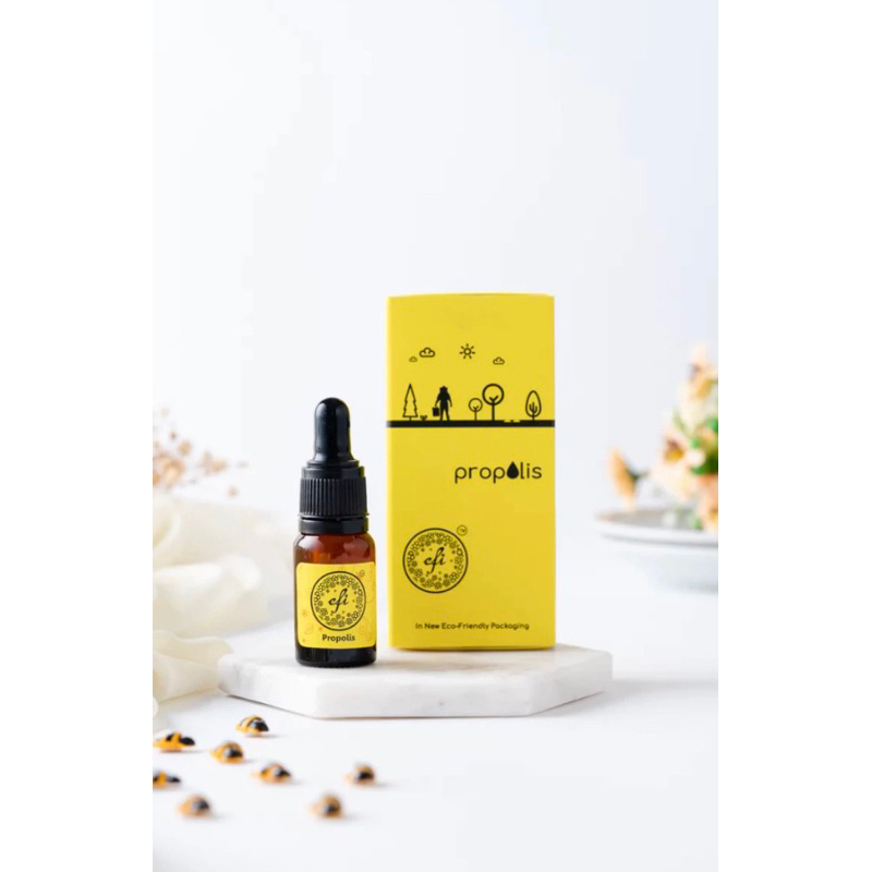 EFI PROPOLIS