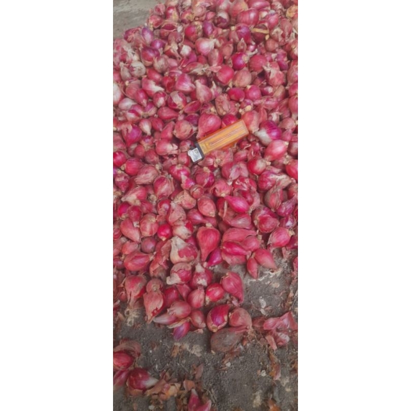 

bawang merah besar 1kg