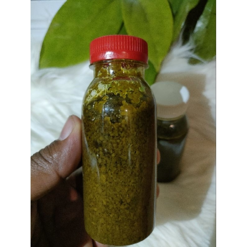 Daun bungkus 3 jari asli Papua
