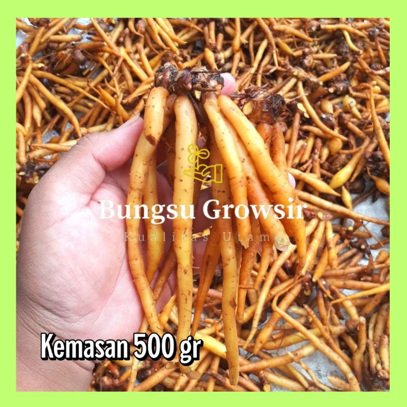 

Temu Kunci Segar Kemasan 500 Gr