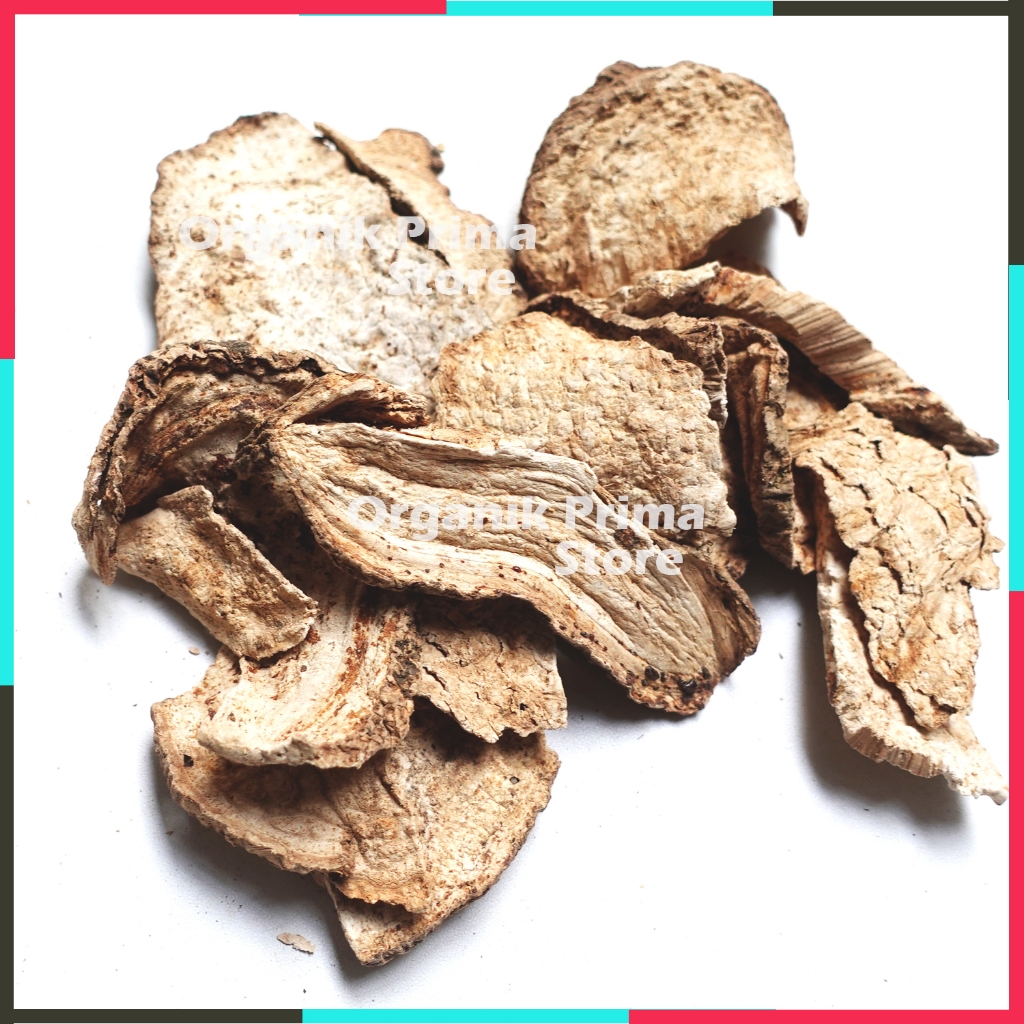 

Bidara Upas Kering 100gr - Widoro Upas Organik