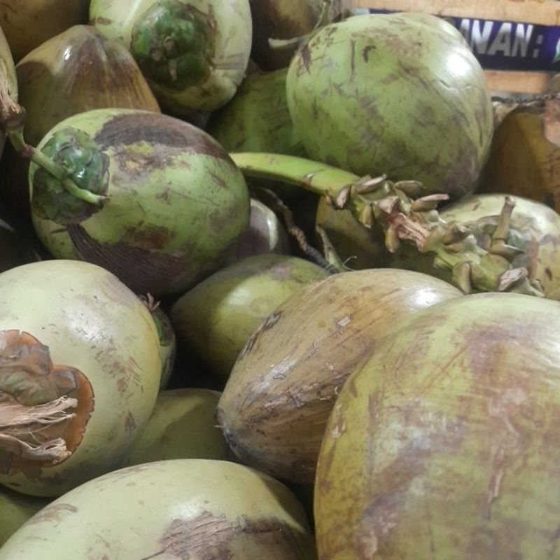 

kelapa muda segar