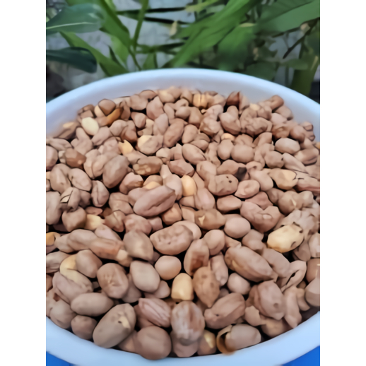 

Kacang bogares Rasa Bawang gurih dan lezat