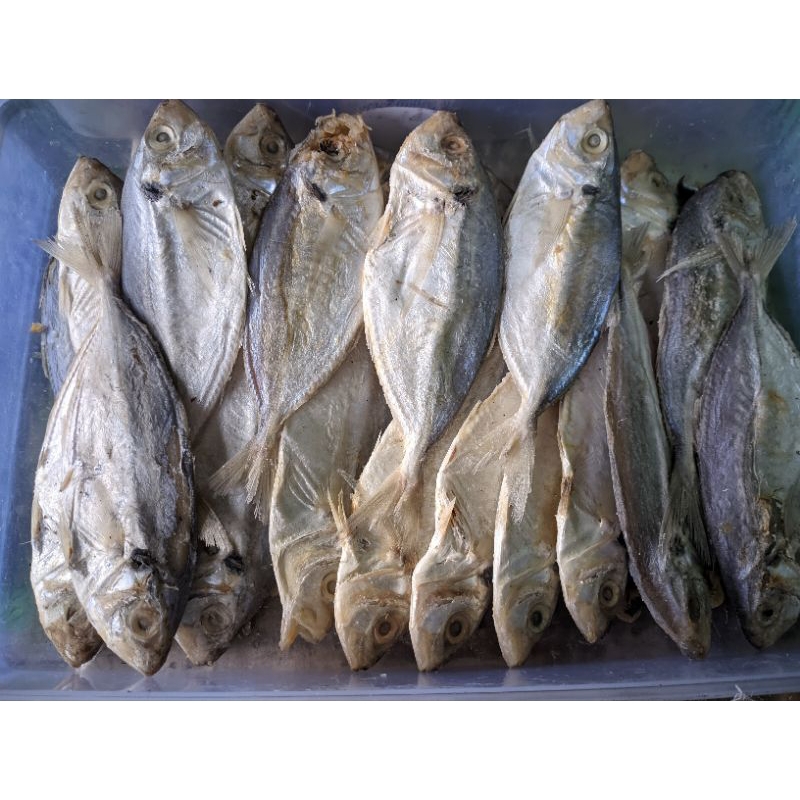 

ikan selar basah 500gr-1000gr