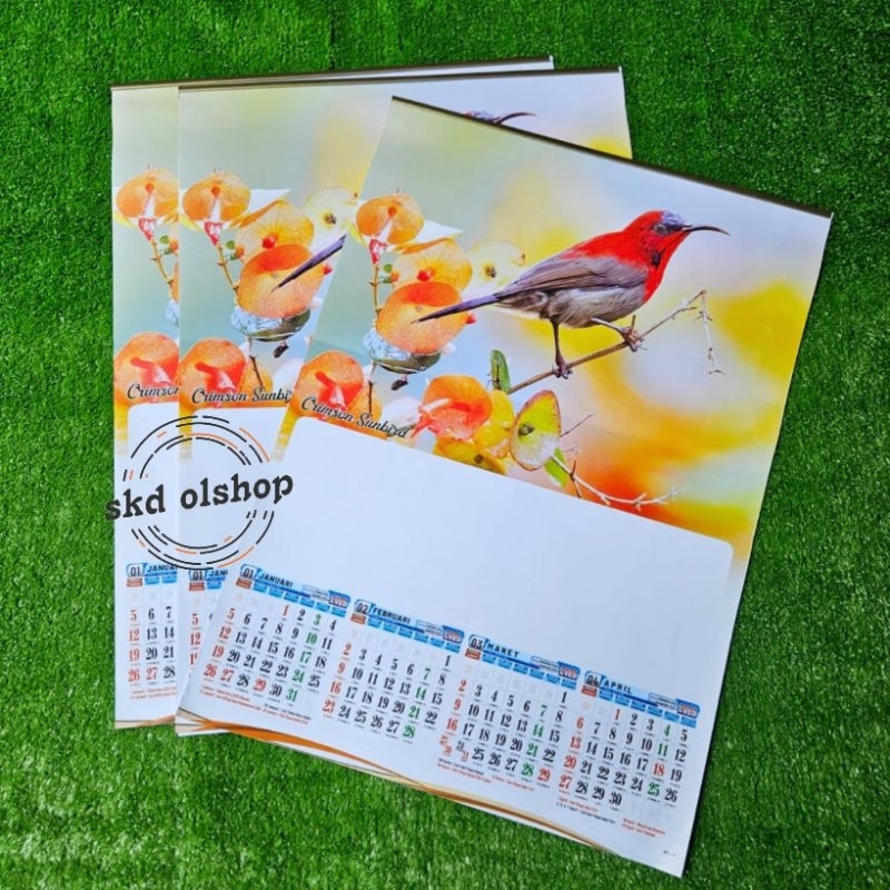 

kalender tahun 2025 B0 41burung 3 lembar x 4 bulan ukuran 38 x 54 cm (terima castume cetak merek)