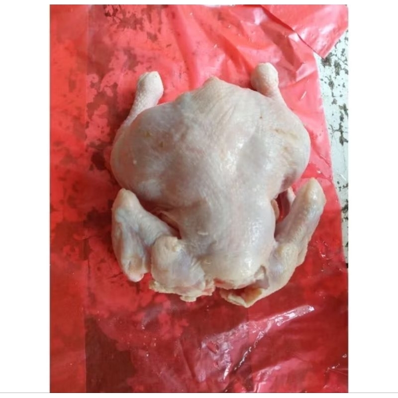

Ayam Broiler 1,2kg /Negri karkas/Ayam utuh