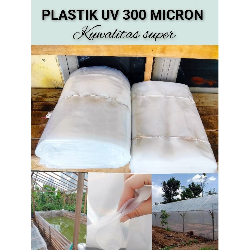 Plastik UV 300 micron 7x8 meter Kuwalitas Super