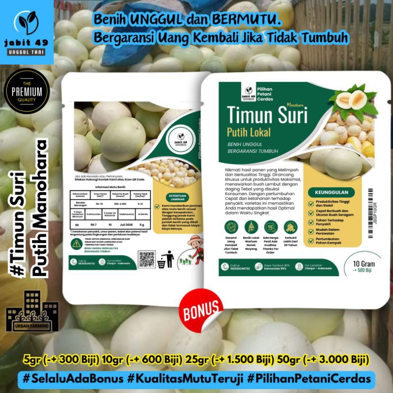 JaBit - 500 Biji Benih Timun Suri Manohara Lokal Timun Suri Putih Bibit Unggul Timun Suri Bonteng Su