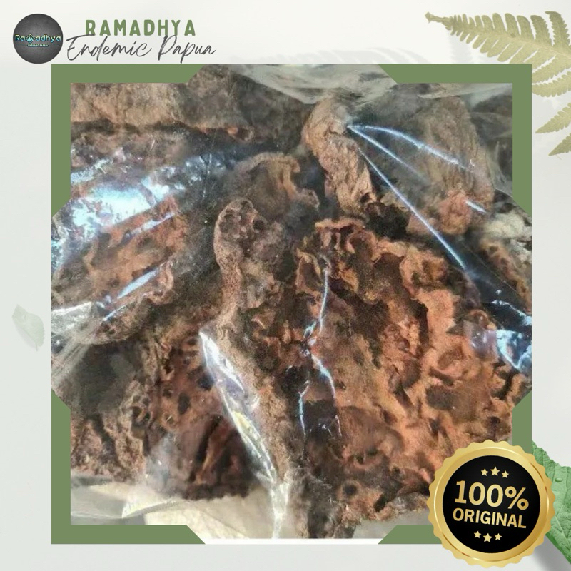 

Sarang Semut Asli Papua Original 100% SARANG SEMUT KERING ASLI 1 KG BISA COD