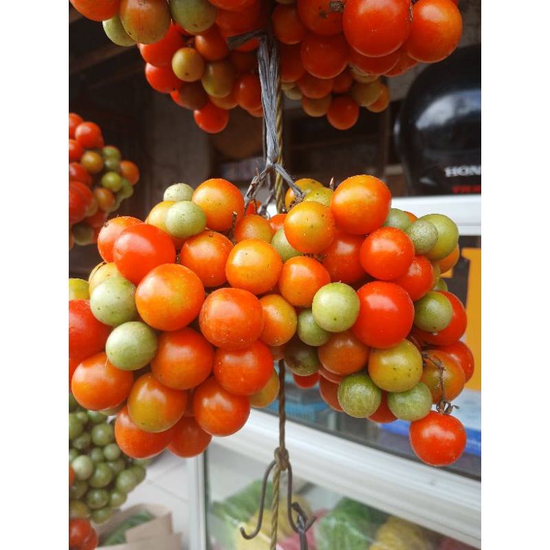 

Rampai segar / Tomat mini 1kg.