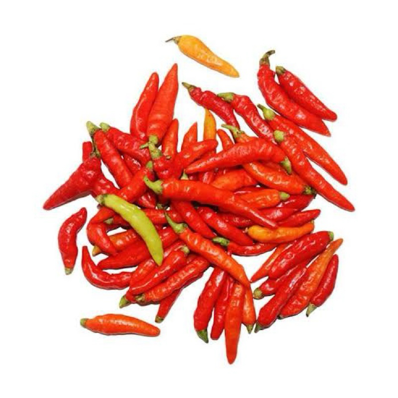 

Cabe Rawit Merah