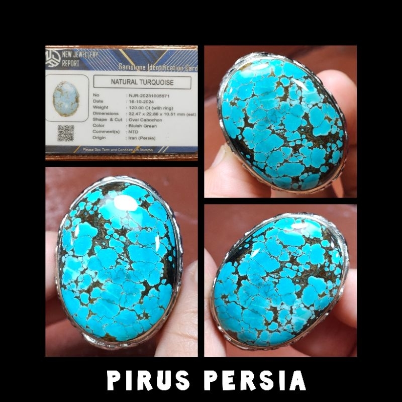 NATURAL PIRUS PERSIA SIZE JUMBO
