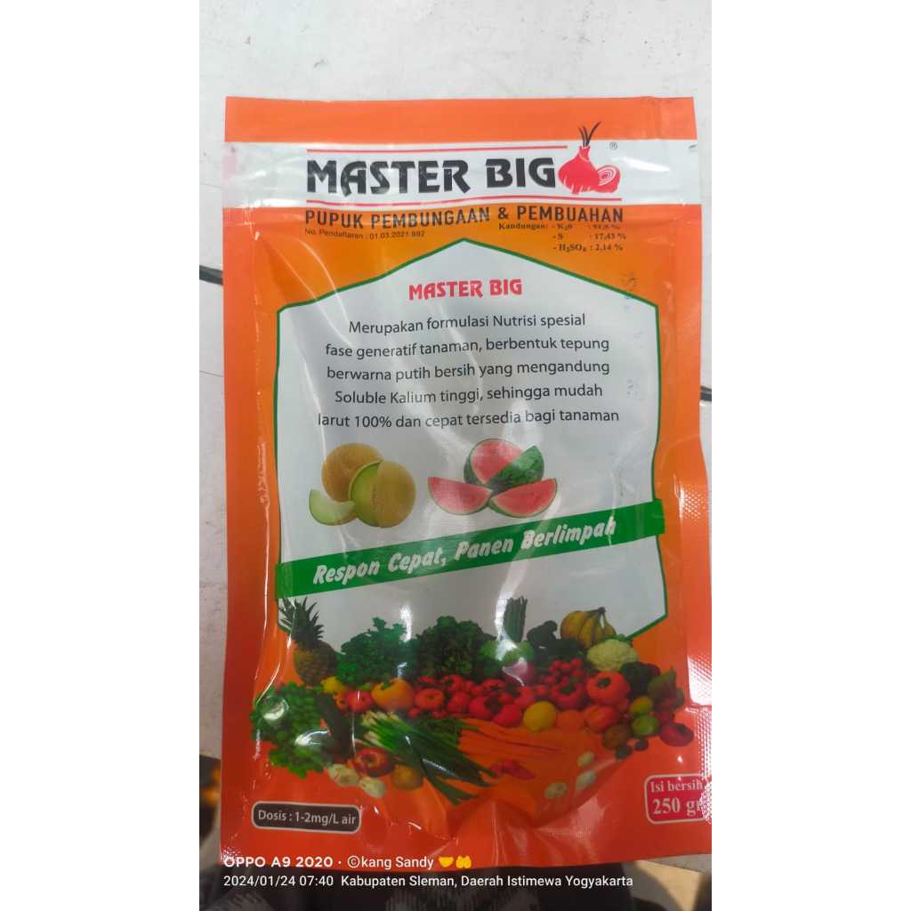 PUPUK PEMBESAR BUAH DAN UMBI MASTER BIG 250GRAM