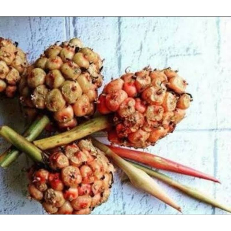

buah kecombrang