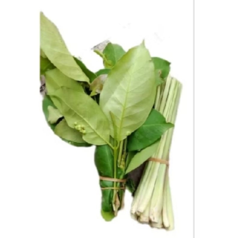 

Daun Salam dan Sereh Segar per ikat