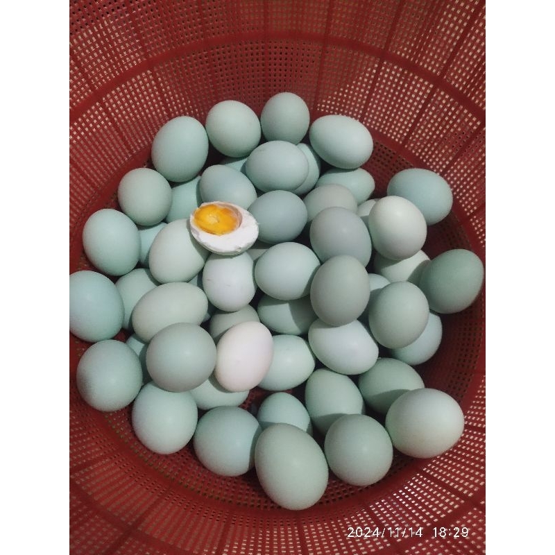 

TELUR ASIN NIKMAT MASIR BERMINYAK HARGA GROSIR (GRADE JUMBO AB)