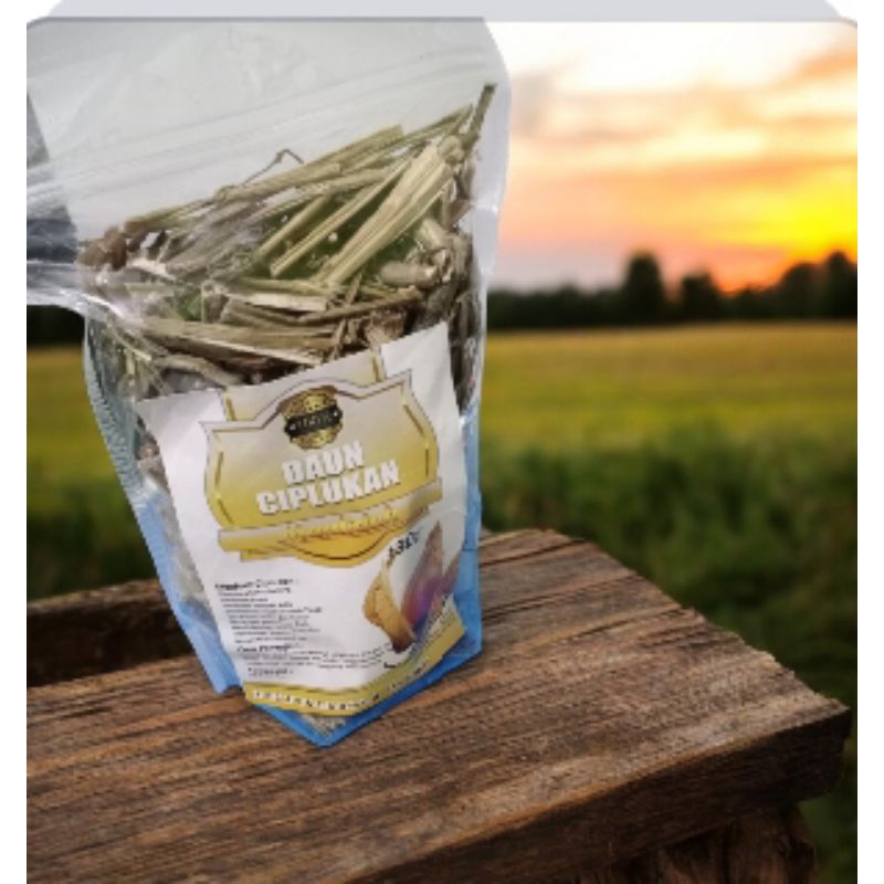 

Teh Seduh Daun Ciplukan isi 40 gram