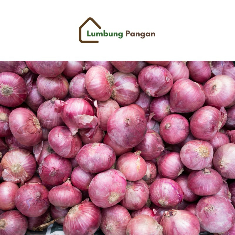 

Macam-macam bawang | Toko Lumbung Pangan