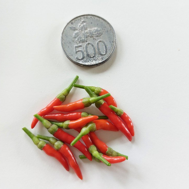 

Buah Cabai Sparkler Chilli