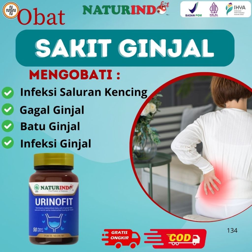ObatObat sakit ginjal, Ginjal Bengkak, Ginjal disertai gatal, Ginjal urin berbusa
