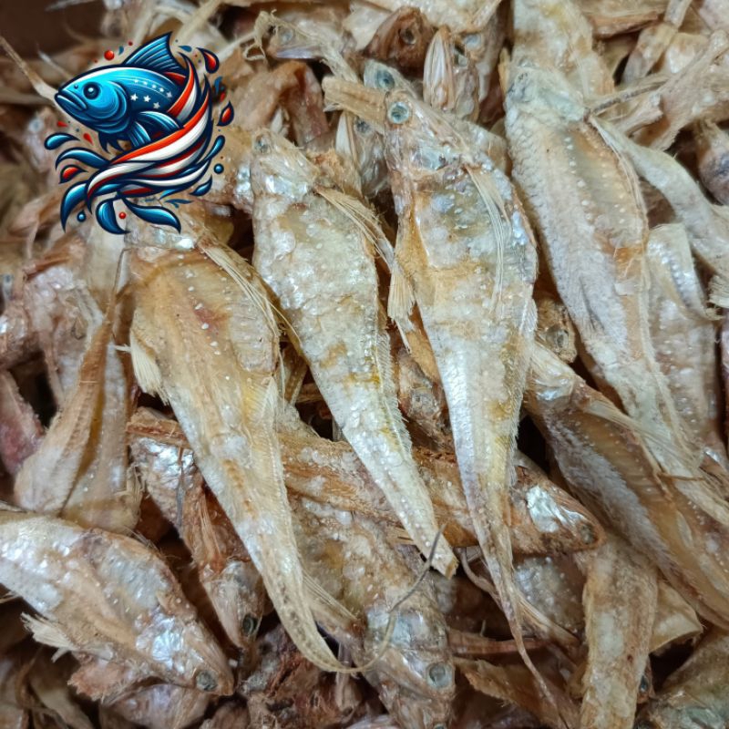 

Ikan bulu ayam tawar