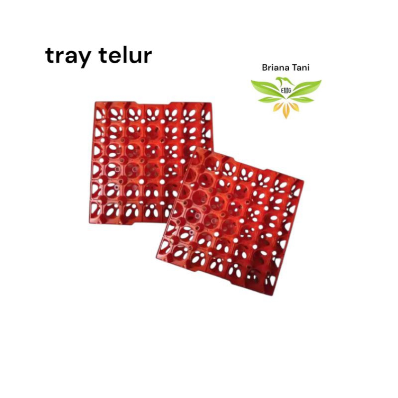 ￼Egg Tray , Tray Telur Plastik Besar isi 30 Tempat menyimpan Telur Ayam Bebek dll Medion