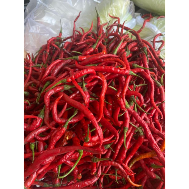 

Cabe Merah Kriting 500 gram