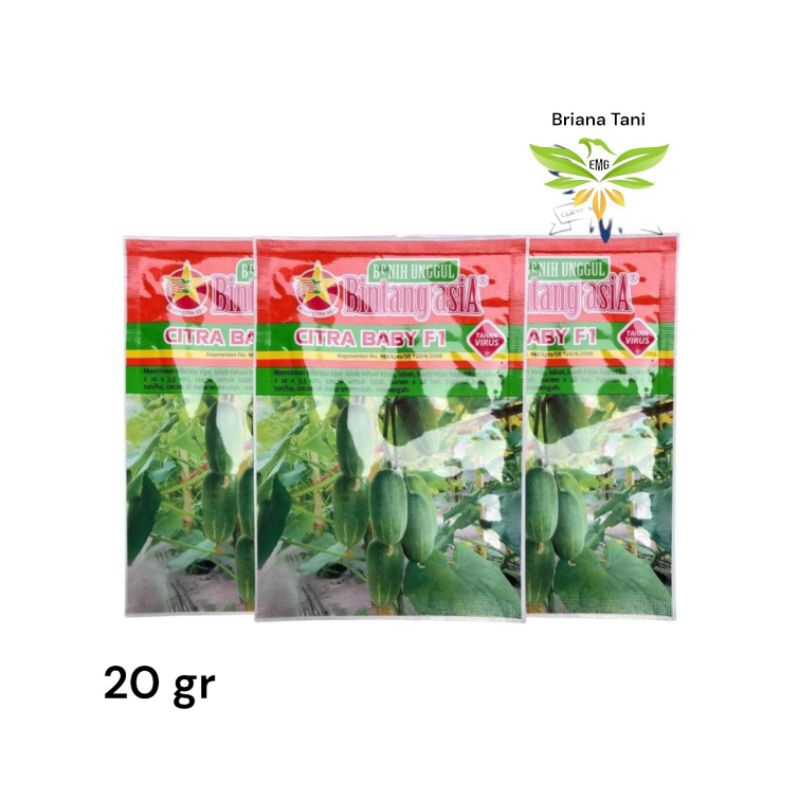 ￼Citra Baby 20gr Benih Timun Bintang Asia Baby Mentimun 007 F1