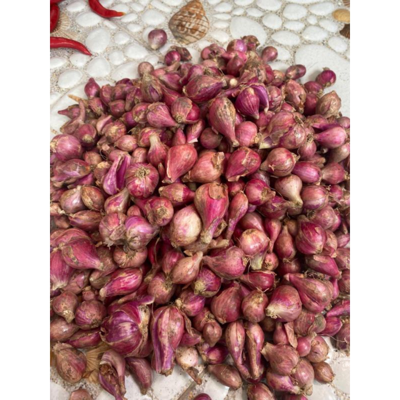 

Bawang Merah Per Kg