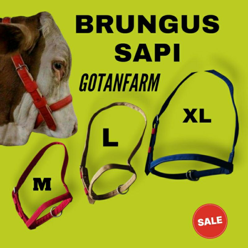 HALTER SAPI ,Bagor sapi ,brungus sapi ,bacok sapi ,tali sapi, keluh sapi