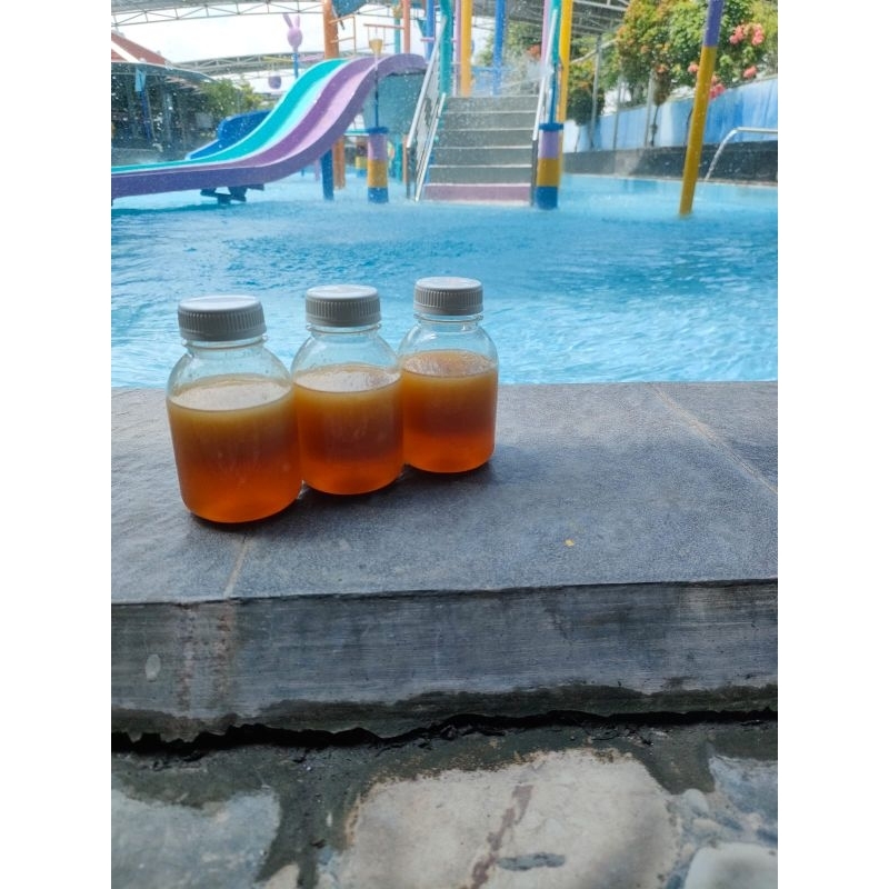 

Madu murni 100% liar lebah hutan sumatra 250gr