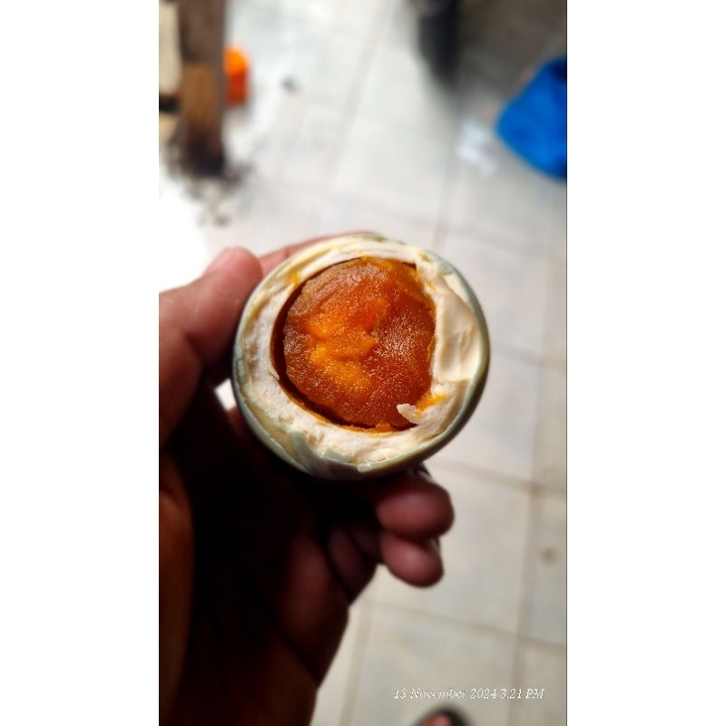

Telur Asin OMEGA Premium Super Bergaransi Masir dan Tanak