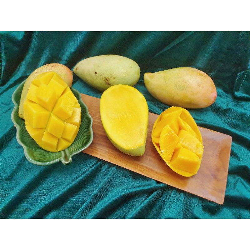 

Mangga Thailand Lokmai matang manis 5kg