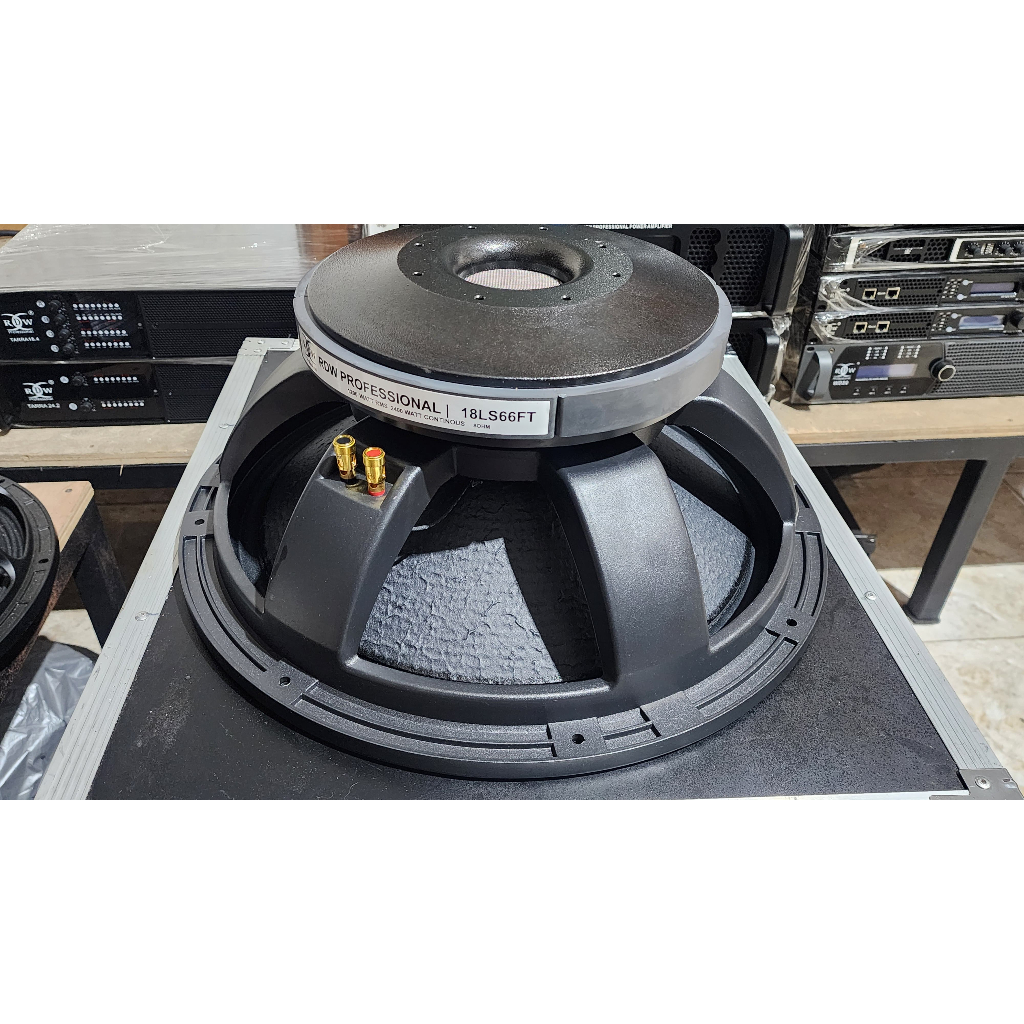 SPEAKER KOMPONEN RDW 18LS66FT