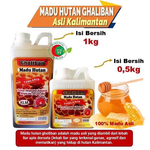 

Madu Hutan Ghaliban Kalimantan 0.5kg, Terlaris Pilihan Masyarakat Indonesia