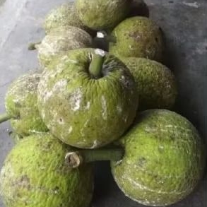 

buah sukun siap di goreng