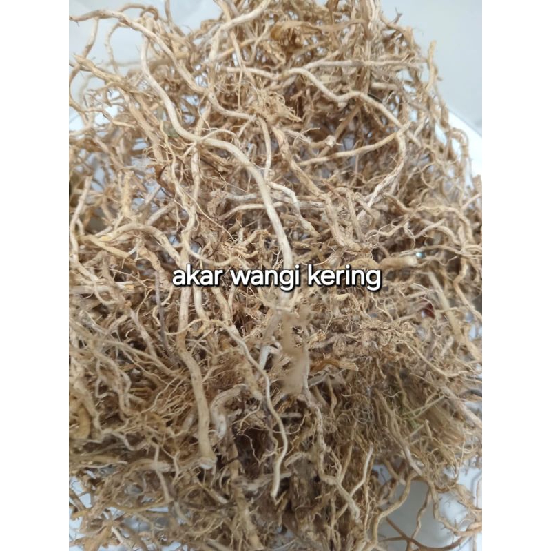 

READY LANGSUNG KIRIM AKAR WANGI KERING ASLI 100GRAM