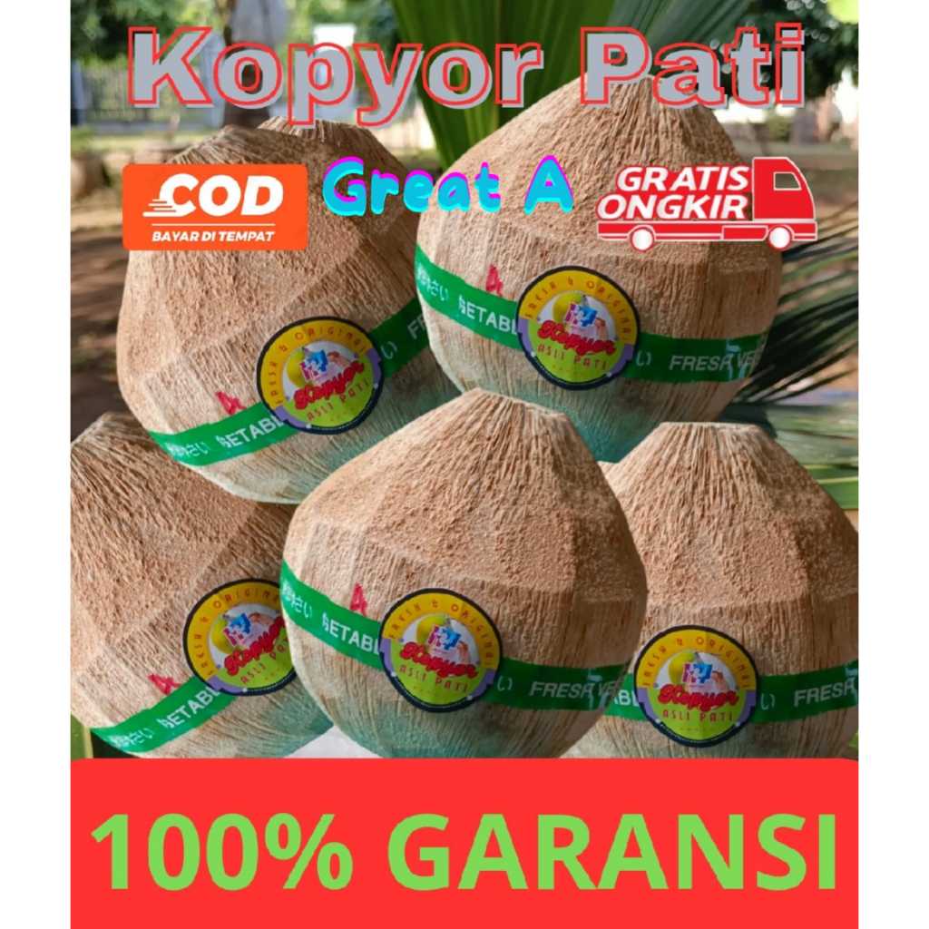 

Buah Kelapa Kopyor / Great A / kelapa kopyor 100 % asli / Asli Pati / Buah Tropis