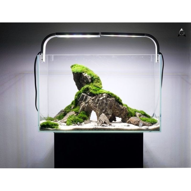 AQUARIUM=50x30x30 5mm