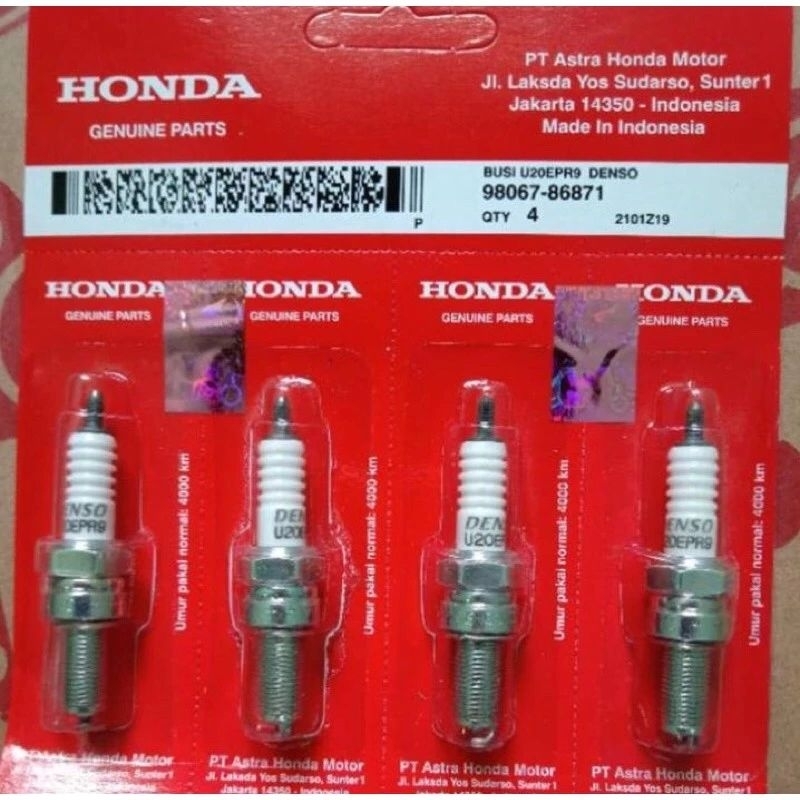 BUSI CHAMPION KARISMA RG4HC