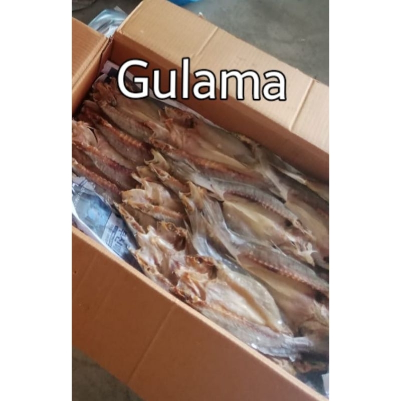 

Ikan Asin Gulama
